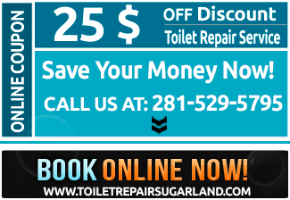 special offer for toilets repair