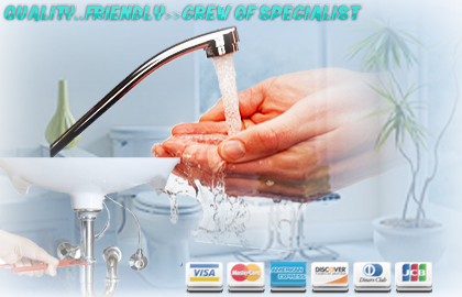 toilet repair services